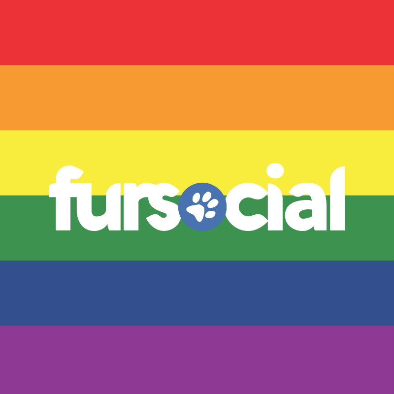 Fursocial Pride