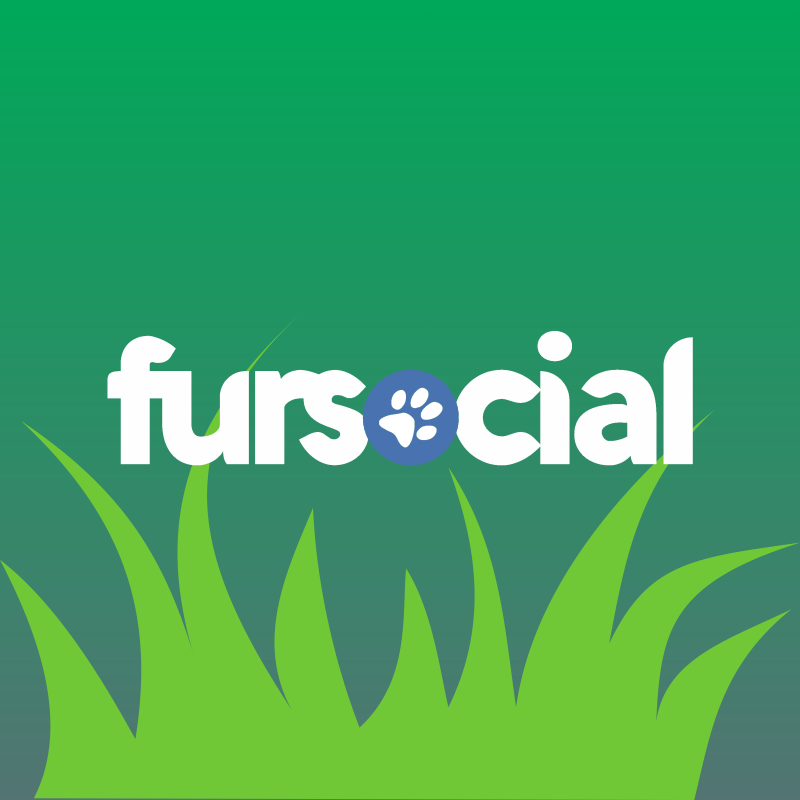 Fursocial Amaz&ocirc;nica